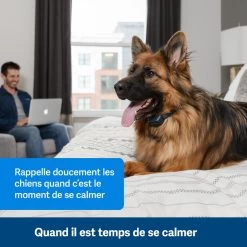 PetSafe ANTI ABOIEMENT SONORE RECHARGEABLE 9 PetSafe ANTI ABOIEMENT SONORE RECHARGEABLE -Magasin De Plein Air anti aboiement sonore rechargeable 2