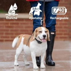 PetSafe ANTI ABOIEMENT SONORE RECHARGEABLE 10 PetSafe ANTI ABOIEMENT SONORE RECHARGEABLE -Magasin De Plein Air anti aboiement sonore rechargeable 3