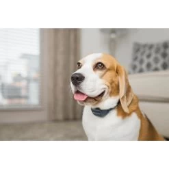 PetSafe ANTI ABOIEMENT SONORE RECHARGEABLE 13 PetSafe ANTI ABOIEMENT SONORE RECHARGEABLE -Magasin De Plein Air anti aboiement sonore rechargeable 6