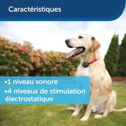 Clôture Anti-fugue Invisible Pour Chien Petsafe -Magasin De Plein Air cloture anti fugue invisible pour chien petsafe 8