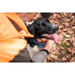 Collier Anti-aboiement Pour Chien Num'axes Canicalm Premium -Magasin De Plein Air collier anti aboiement pour chien numaxes canicalm premium 2