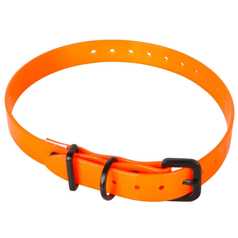 Collier Chien Orange Fluo 500 3 Collier Chien Orange Fluo 500 – Image 3
