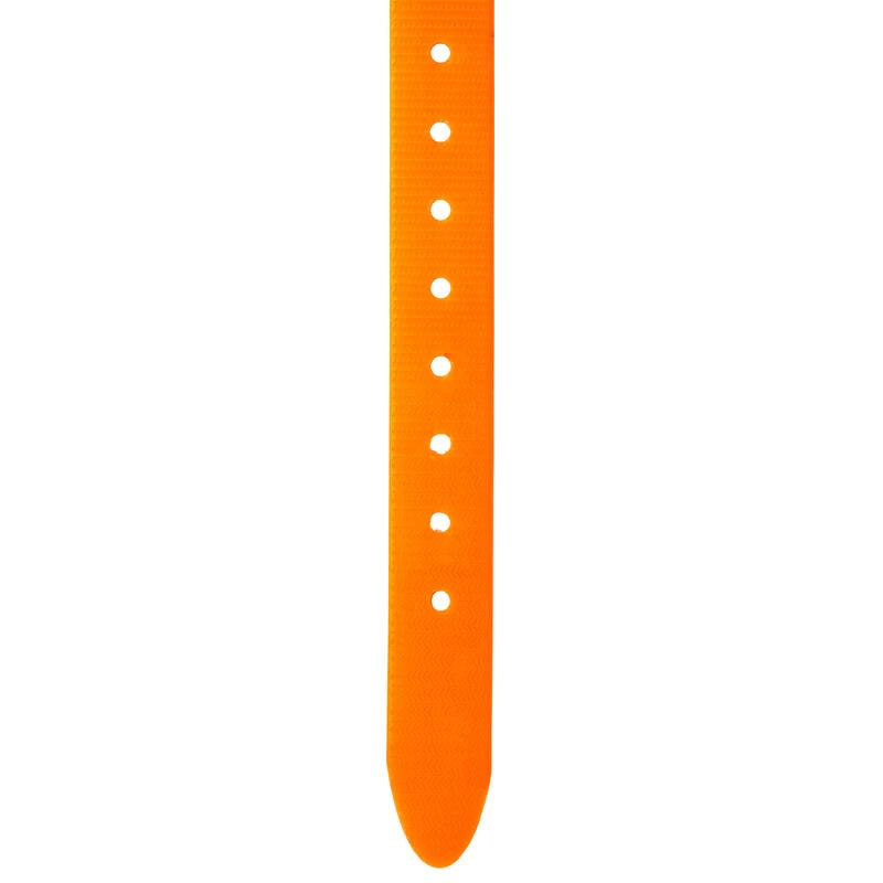 Collier Chien Orange Fluo 500 5 Collier Chien Orange Fluo 500 – Image 5