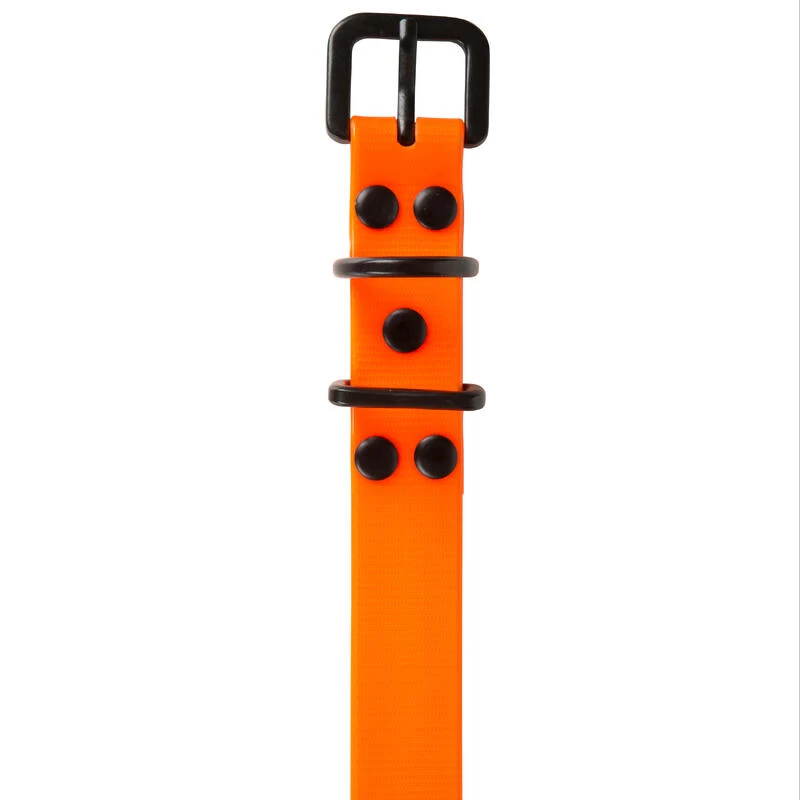 Collier Chien Orange Fluo 500 8 Collier Chien Orange Fluo 500 – Image 8
