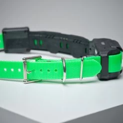 Collier Supplémentaire Repérage Et Dressage Pour Chien Dogtra Pathfinder -Magasin De Plein Air collier supplementaire reperage et dressage pour chien dogtra pathfinder 2
