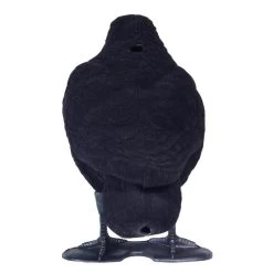 FORME CORBEAU FLOQUE -Magasin De Plein Air forme corbeau floque 3