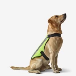GILET CHIEN CHASSE JAUNE 100 -Magasin De Plein Air gilet chien chasse jaune 100 2
