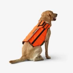 Gilet De Protection Pour Chien Supertrack 8 Gilet De Protection Pour Chien Supertrack -Magasin De Plein Air gilet de protection pour chien supertrack 2