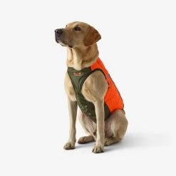 Gilet De Protection Pour Chien Supertrack 9 Gilet De Protection Pour Chien Supertrack -Magasin De Plein Air gilet de protection pour chien supertrack 3