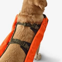 Gilet De Protection Pour Chien Supertrack 10 Gilet De Protection Pour Chien Supertrack -Magasin De Plein Air gilet de protection pour chien supertrack 4