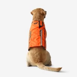 Gilet De Protection Pour Chien Supertrack 11 Gilet De Protection Pour Chien Supertrack -Magasin De Plein Air gilet de protection pour chien supertrack 5