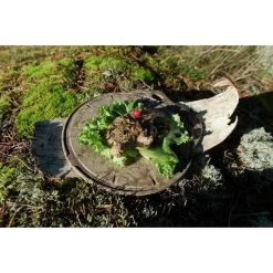 Kupilka Kaarna M - Planche à Découper-Original (Marron) -Magasin De Plein Air kupilka kaarna m planche a decouper original marron 2