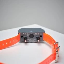 Pack Collier + Télécommande De Dressage Pour Chien Sportdog SD-875 -Magasin De Plein Air pack collier telecommande de dressage pour chien sportdog sd 875 2