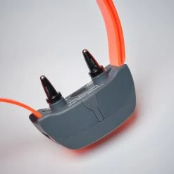 Pack Collier + Télécommande De Dressage Pour Chien Sportdog SD-875 -Magasin De Plein Air pack collier telecommande de dressage pour chien sportdog sd 875 4