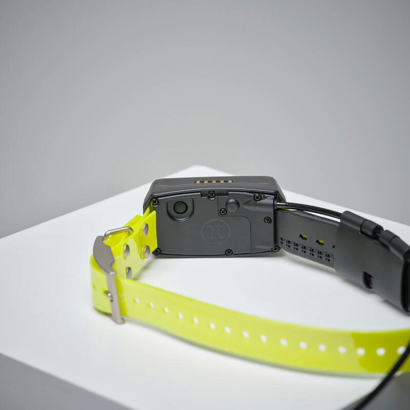 PACK REPERAGE GARMIN ALPHA 200i TT15 5 PACK REPERAGE GARMIN ALPHA 200i TT15 – Image 5